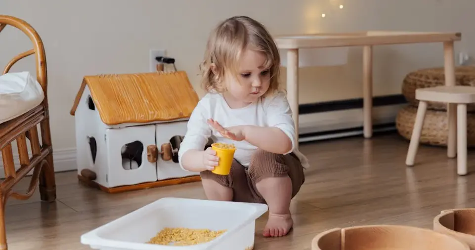 Interactive Learning Toys and Their Role in Memory Enhancement